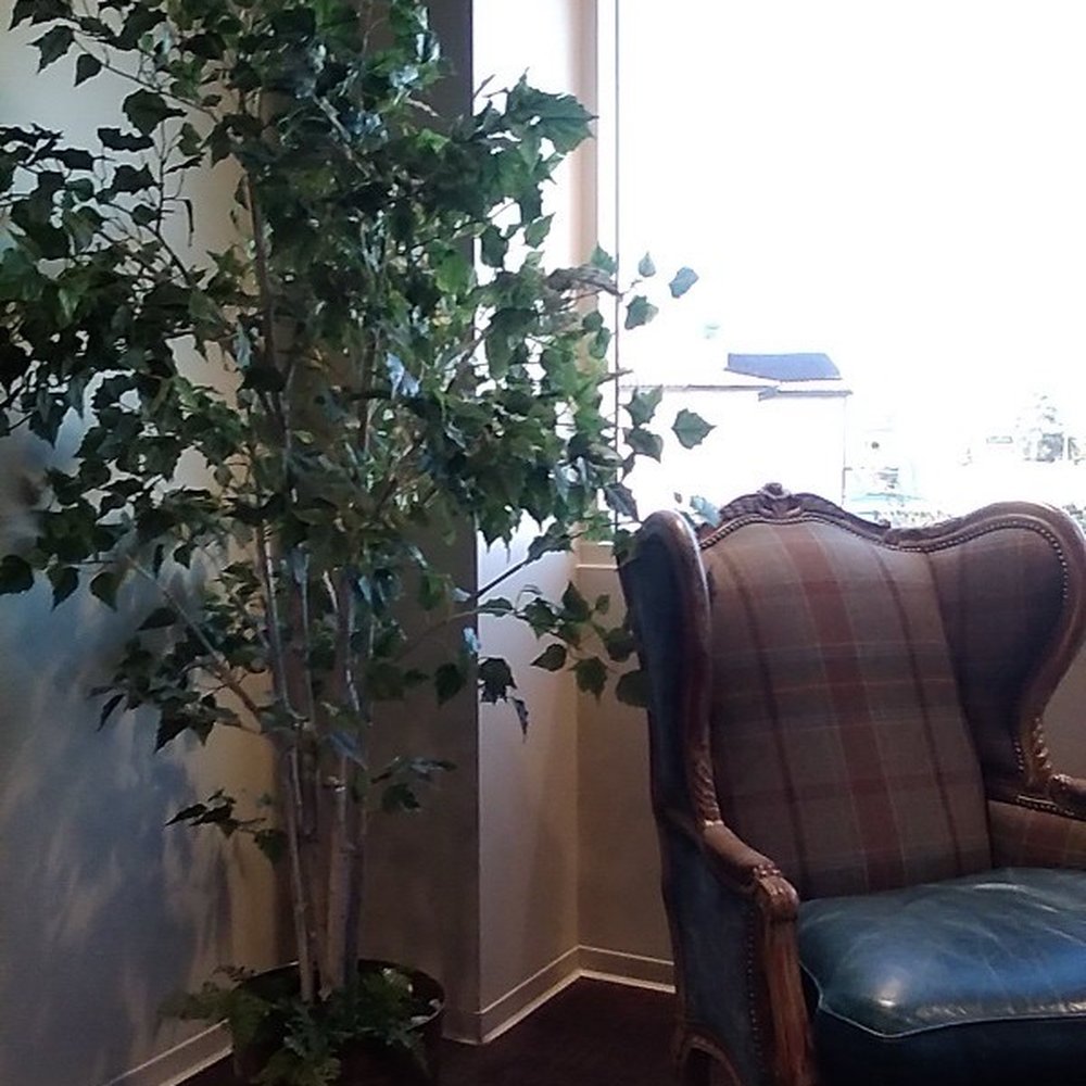 UCLA Gastroenterology - one of their waiting room area. Like that arm chair & the beautiful, tall plant. Feels like home. - Gastroenterologist Near Me - N Hollywood, California UCLA Gastroenterology - one of their waiting room area. Like that arm chair & the beautiful, tall plant. Feels like home. - Gastroenterologist Near Me - N Hollywood, California