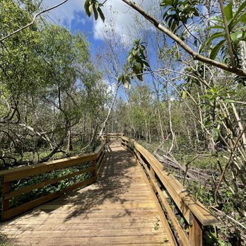 Mead Botanical Garden - Botanical Gardens Near Me - Winter Park, Florida