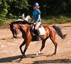 Leg Up Equestrian Logo