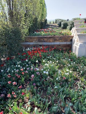 Tulsa Botanic Garden by null
