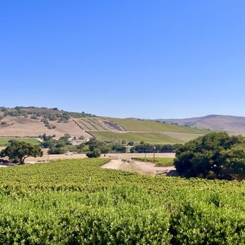 Sustainable Wine Tours - Wine Tours Near Me - Santa Barbara, California Sustainable Wine Tours - Wine Tours Near Me - Santa Barbara, California
