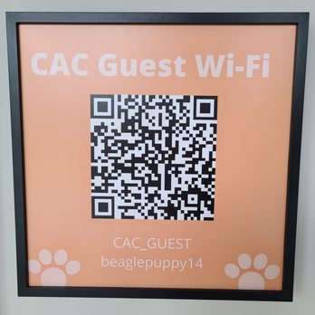 Clarendon Animal Care South Arlington - Veterinarians Near Me - Arlington, Virginia Clarendon Animal Care South Arlington - Veterinarians Near Me - Arlington, Virginia