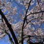 Photo of Tom McCall Waterfront Park