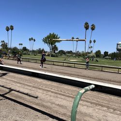 Scottish Highland Games - Caber tossing
