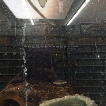 Pet Supplies Plus Telford - Filthy gecko tank. Poop everywhere - Pet Stores Near Me - Telford, Pennsylvania