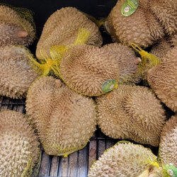 Fresh International Market - Frozen durian