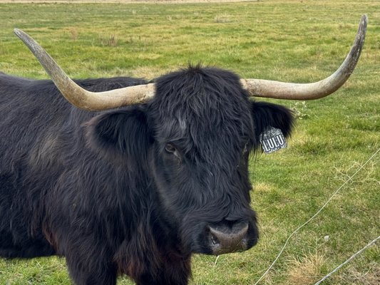 Brasada Ranch by null