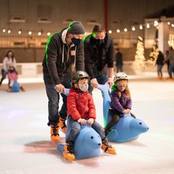 The Little Ice Rink
