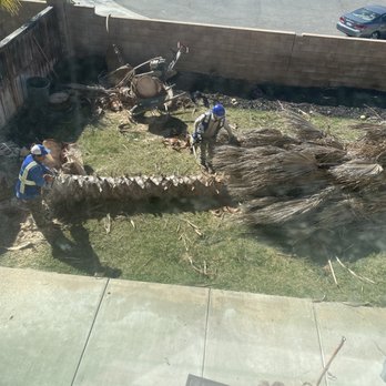 Ortega's Jr Tree Service - Tree Services Near Me - Riverside , California