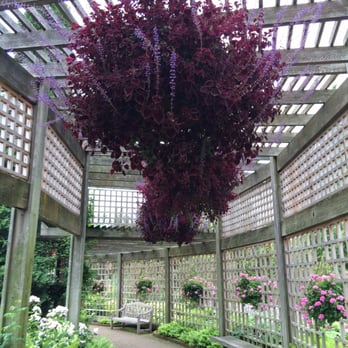 Chicago Botanic Garden - Botanical Gardens Near Me - Glencoe, Illinois