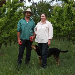 Harvest Cafe & Store - Local pome and stone fruit