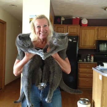 Whisker Sitters - My clients, Tous and Zebin, give Whisker Sitters a "Paws Up" rating when I cat sit for them in Traverse City every Week! - Pet Sitting Near Me - Traverse City, Michigan Whisker Sitters - My clients, Tous and Zebin, give Whisker Sitters a "Paws Up" rating when I cat sit for them in Traverse City every Week! - Pet Sitting Near Me - Traverse City, Michigan