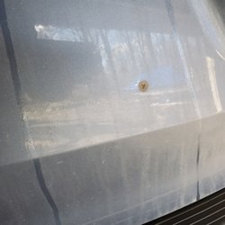 Lake Effect Auto Wash