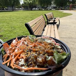 Salmon poke half mixed greens and half brown rice with fried garlic and wasabi aoili on top. Salmon poke half mixed greens and half brown rice with fried garlic and wasabi aoili on top.