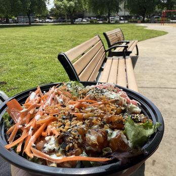 Momo’s Poke - Salmon poke half mixed greens and half brown rice with fried garlic and wasabi aoili on top. - Poke Near Me - Chico, California Momo’s Poke - Salmon poke half mixed greens and half brown rice with fried garlic and wasabi aoili on top. - Poke Near Me - Chico, California