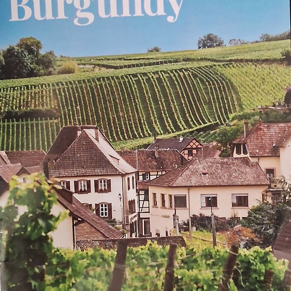 Total Wine & More - Wine tasting class booklet. Burgundy wine tasting experience. - Beer, Wine & Spirits Near Me - Las Vegas, Nevada Total Wine & More - Wine tasting class booklet. Burgundy wine tasting experience. - Beer, Wine & Spirits Near Me - Las Vegas, Nevada
