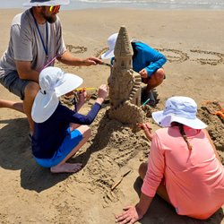 Sandcastle Lessons - Starting a new sandcastle building career