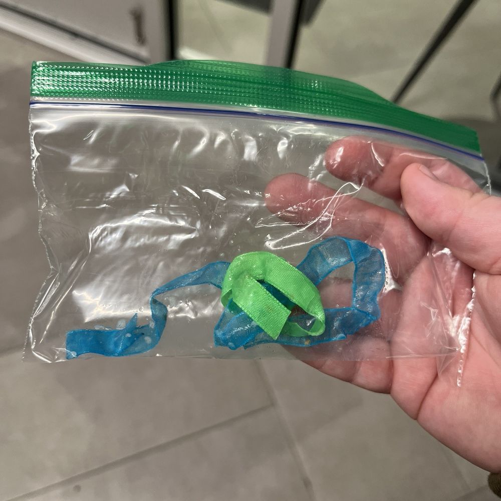 VEG ER for Pets - The Ribbon they got out! - Emergency Pet Hospital Near Me - Lynnwood, Washington VEG ER for Pets - The Ribbon they got out! - Emergency Pet Hospital Near Me - Lynnwood, Washington