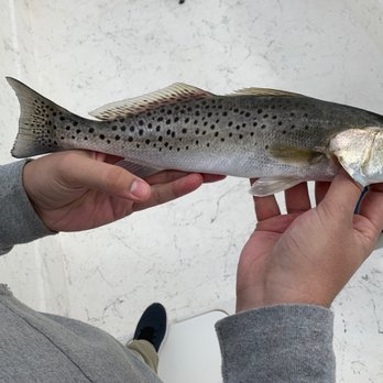 Crystal River Florida Fishing Adventures - Fishing Near Me - Crystal River, Florida