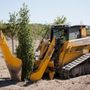 Photo of Manotick Tree Movers