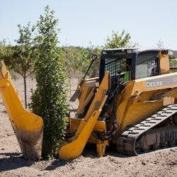 Manotick Tree Movers - Photo