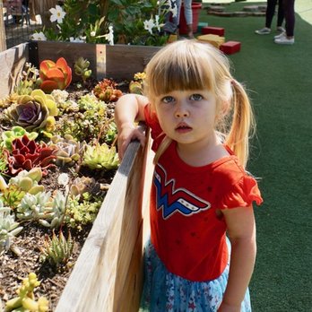 University Synagogue Pre-School - Succulent garden planted by the kids in January 2018 - Preschools Near Me - Irvine, California University Synagogue Pre-School - Succulent garden planted by the kids in January 2018 - Preschools Near Me - Irvine, California
