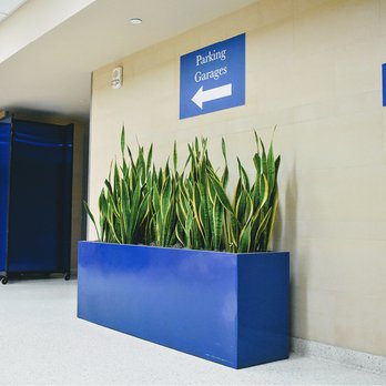 Green Oasis Plantscapes - We installed and maintain the plants you see around the San Antonio Airport - Nurseries & Gardening Near Me - San Antonio, Texas