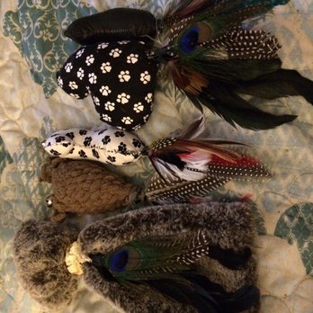 JOANN Fabric and Crafts - My cat toys a sale on Etsy all materials bought at this Joann's - Fabric Stores Near Me - Tucson, Arizona JOANN Fabric and Crafts - My cat toys a sale on Etsy all materials bought at this Joann's - Fabric Stores Near Me - Tucson, Arizona