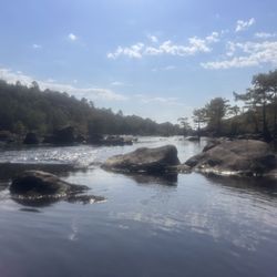 Tippa Canoe