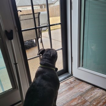 Maclin Security Doors - The security doors improved the look and heat efficiency.  Dog approved. - Door Sales/Installation Near Me - Bartlett, Tennessee