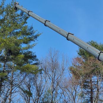 A-1 Tree Service - Heavy removal - Tree Services Near Me