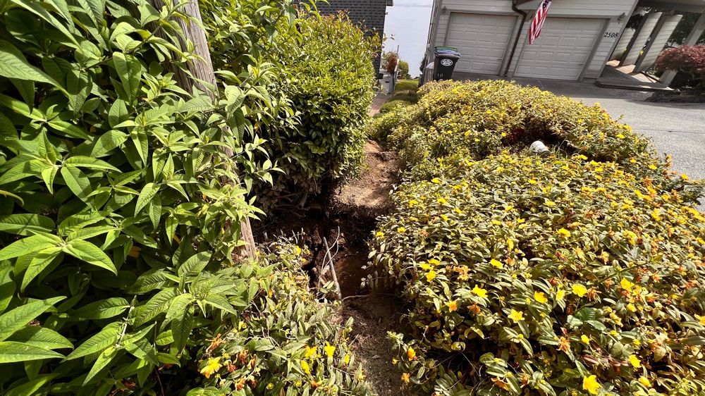 Slide of American Mains and Drains