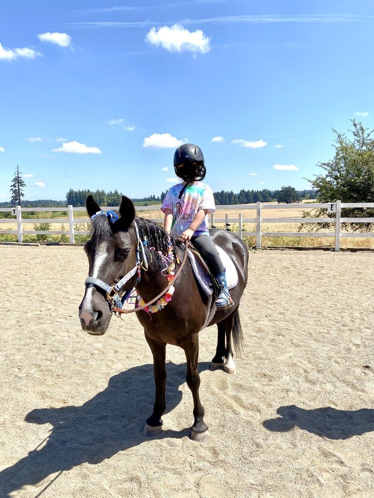 WILSONVILLE EQUESTRIAN CENTER Updated August 2024 24040 SW 82nd Ave