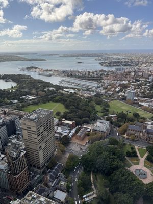 Sydney Tower Eye by null