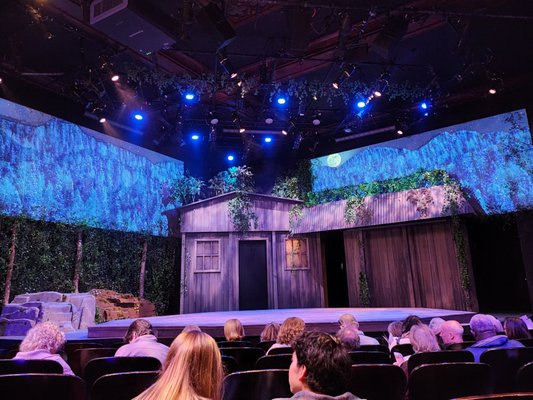 Rubicon Theatre Company by null