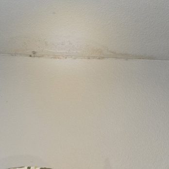 Broadstone EADO - Mildew growing after moving in September 2024 - Apartments Near Me - Houston, Texas