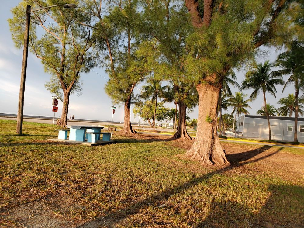 The Pines Park