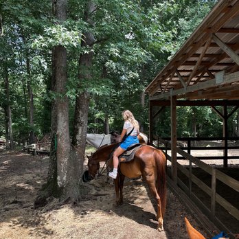 Black Horse Run - Horse - Horseback Riding Near Me - Fountain Inn, South Carolina Black Horse Run - Horse - Horseback Riding Near Me - Fountain Inn, South Carolina