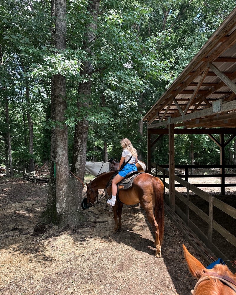 Black Horse Run - equestrian in Fountain Inn, SC