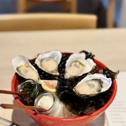 Locust - Ichiban oysters