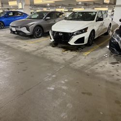 Thrifty Rent A Car - Rental Car