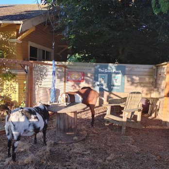 The Goat Place - Attraction Farms Near Me - Portland, Oregon