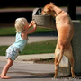 Photo of Wags and Wiggles, Inc.