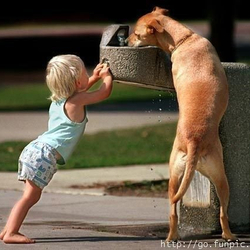 Wags and Wiggles, Inc. - Save some for Me :)