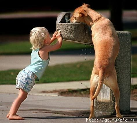 Wags and Wiggles, Inc. Image