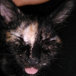 Blaze ♥ Blaze ♥