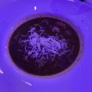 Photo of Blue Moon Fish - Lauderdale by the Sea, FL, United States. Gumbo is awesome. Someday I am going to come here just for the Gumbo!