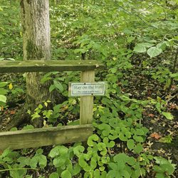 Ritchey Woods Nature Preserve - Many signs say to stay on the trail and right beside them is a path showing that people disregard them.