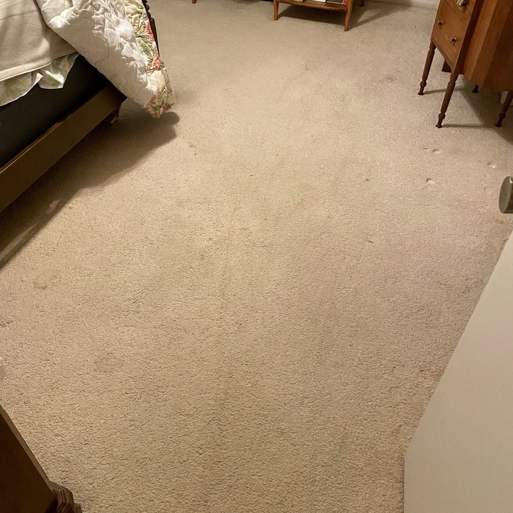 Buzy B'z Carpet Cleaning - Before BR - Carpet Cleaning Near Me - Yuba City, California