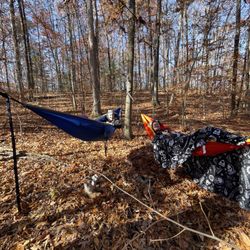 Koomer Ridge Campground - hammock